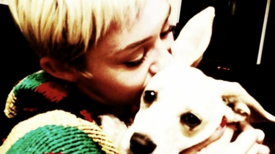 Miley Cyrus se pochlubila svým psím miláčkem
